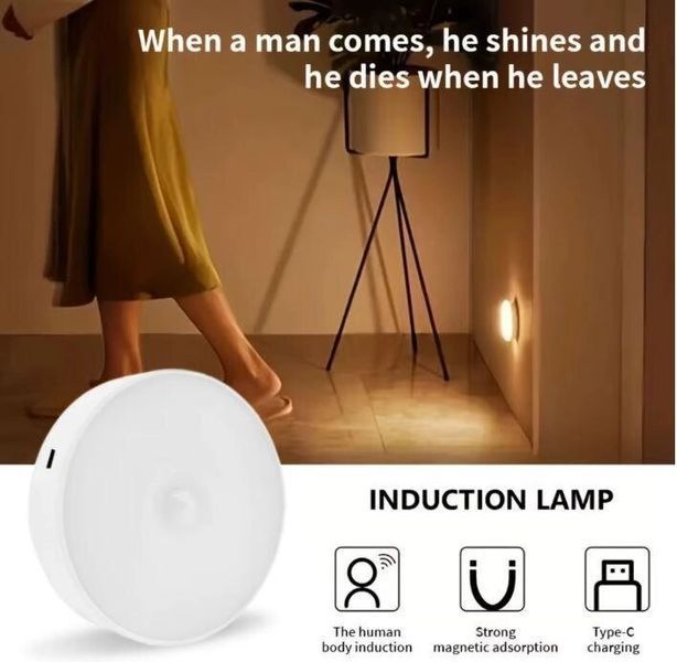 Аккумуляторный Led светильник-ночник Body induction lamp с датчиком движения и освещенности, холодный с переключателем 1780374143 фото