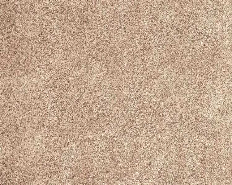 Меблева тканина COLUMBIA NUT 1583207928 фото