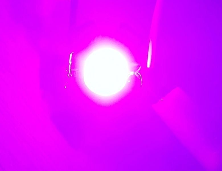 Фітосвітлодіод на підкладці led 1w 3.2-3.6v рожевий повний спектр 400-800nm 1551185366 фото