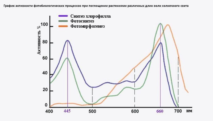 Фітосвітлодіод на підкладці led 1w 3.2-3.6v рожевий повний спектр 400-800nm 1551185366 фото
